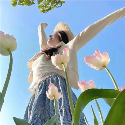 金龟车大闹旧金山