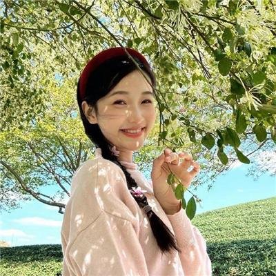 樱花队离散