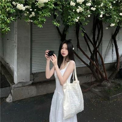 豹